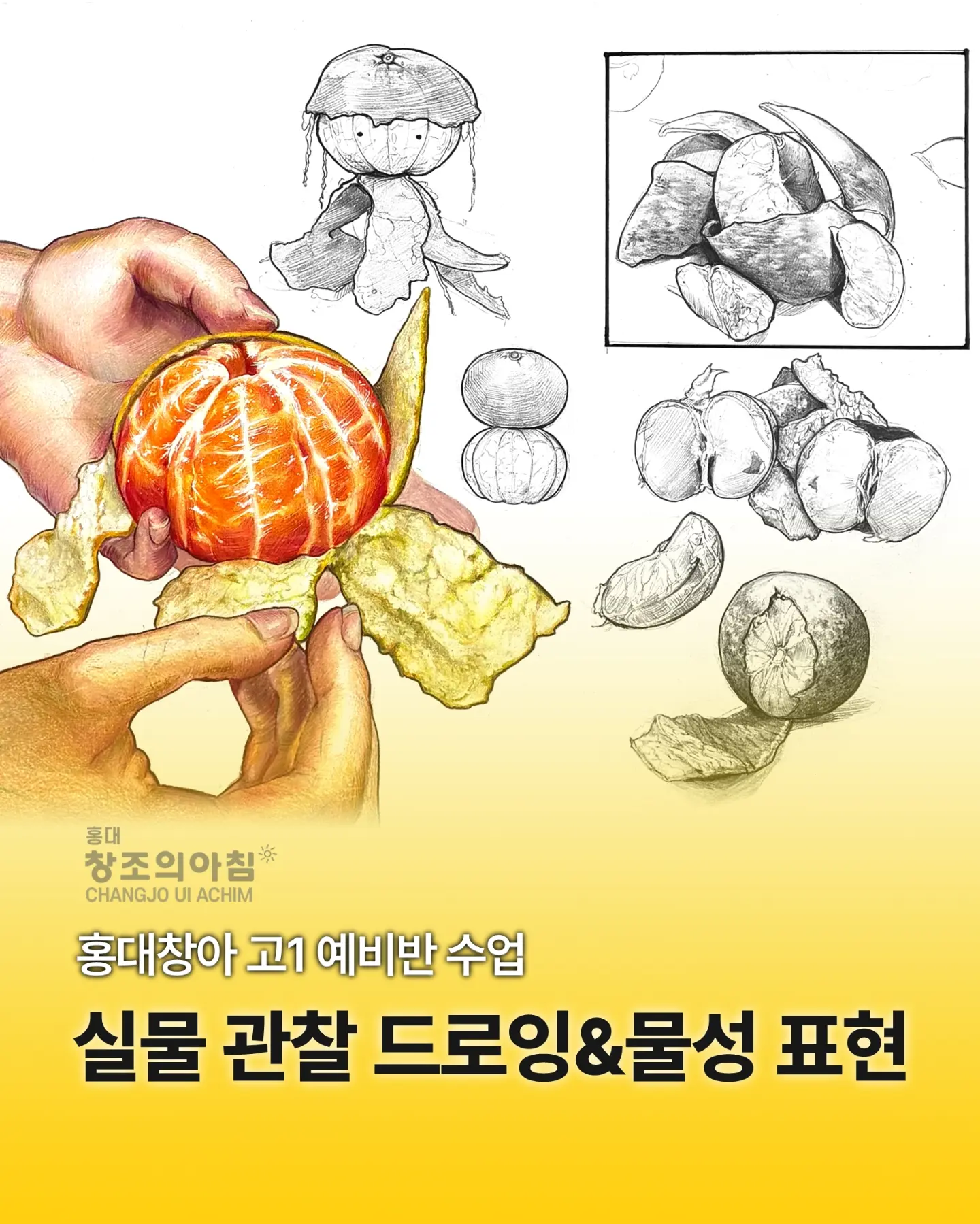 🎨 홍대창아 고1 예비반 수업 [실물 관찰 드로잉&물성 표현]🔍 맛있게 먹기만 하고 관찰해 본 적 없는 귤을 직접 가져와서 꼼꼼하게 관찰하고 가장 귤다운 모습을 연출해서 사진을 촬영! 🍊📷️ [홍대 창조의아침 미술학원 | 홍대미술학원 창조의아침]